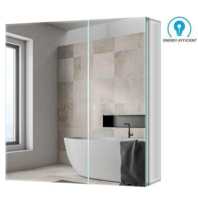 Bathroom Medicine Cabinets Mirror Cabinet with Large Storage and Adjustable Shelves